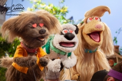 jesscroome_photography-95